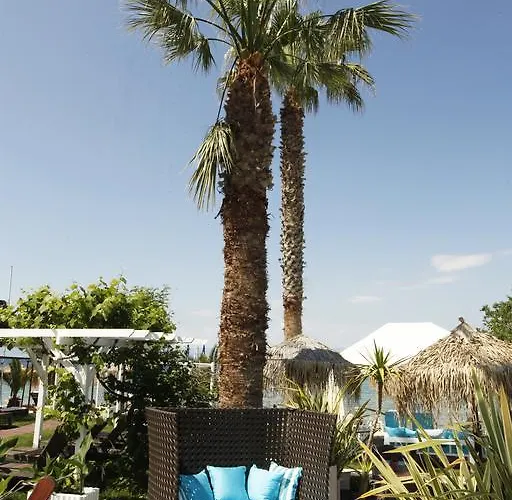 Tarsanas 4* 萨索斯