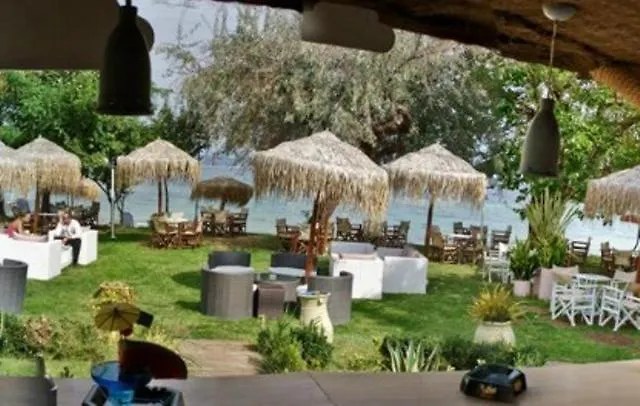 Tarsanas
